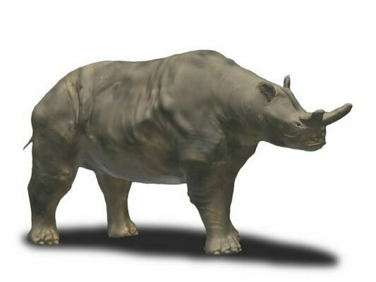 Artist's reconstruction of a Titanothere. By Nobu Tamura (http://spinops.blogspot.com)